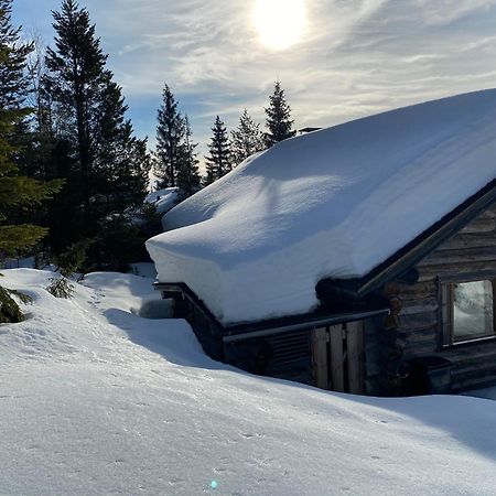 Villa Saarua By The Slopes Ski In, Family & Bike Park, Hike Trails, National Park, Wifi - Lapland Villas Rukatunturi Exterior foto