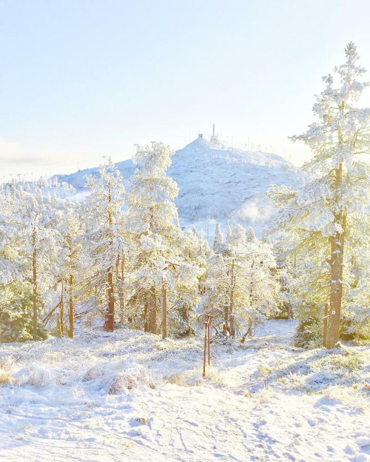 Villa Saarua By The Slopes Ski In, Family & Bike Park, Hike Trails, National Park, Wifi - Lapland Villas Rukatunturi Exterior foto