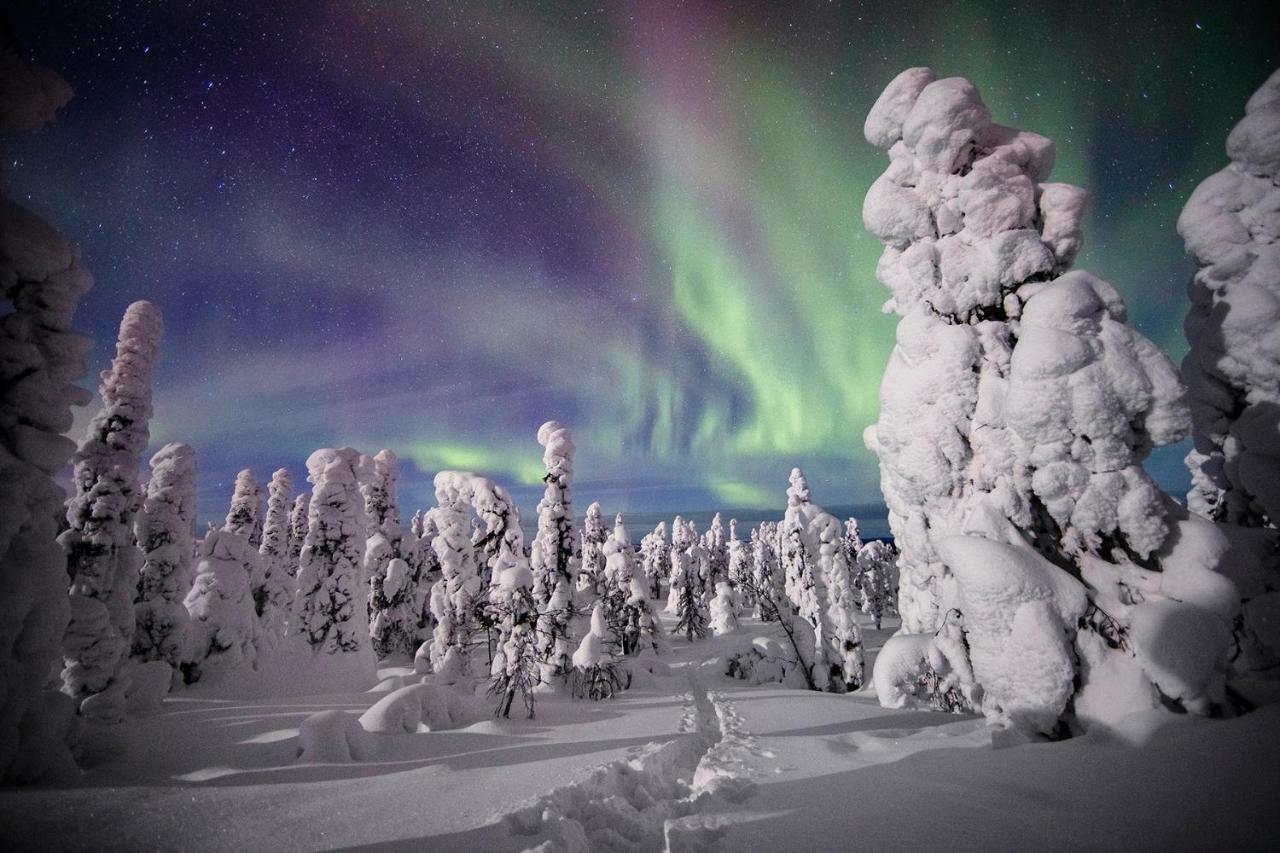 Villa Saarua By The Slopes Ski In, Family & Bike Park, Hike Trails, National Park, Wifi - Lapland Villas Rukatunturi Exterior foto